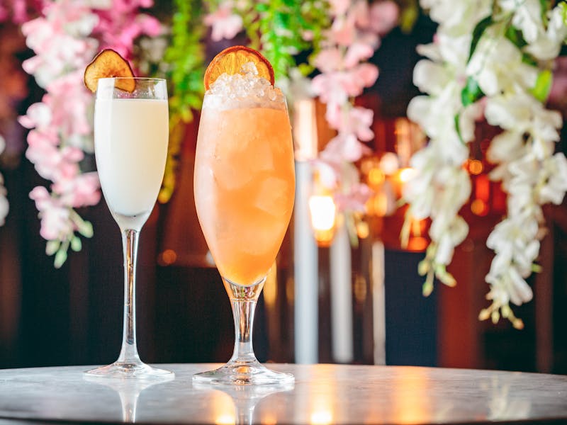 2-4-1 Cocktails