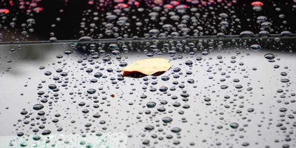 Bonnet of a black vehicle, covered with a single leaf and waterspots